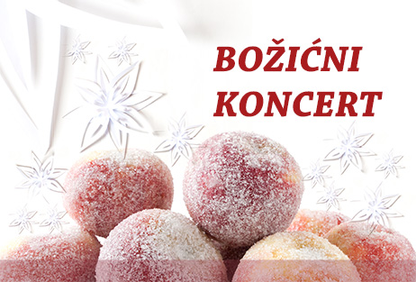 Najava: Božićni koncert 2017.